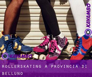 Rollerskating à Provincia di Belluno