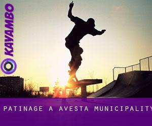 patinage à Avesta Municipality