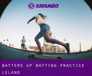 Batters Up Batting Practice (Leland)