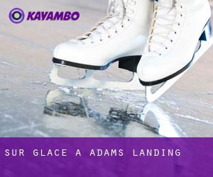 Sur glace à Adams Landing