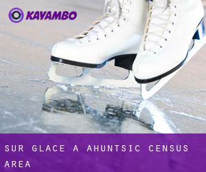 Sur glace à Ahuntsic (census area)