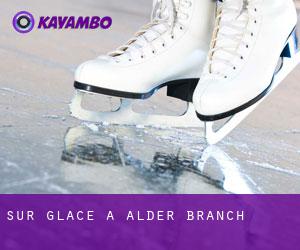 Sur glace à Alder Branch