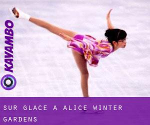 Sur glace à Alice Winter Gardens