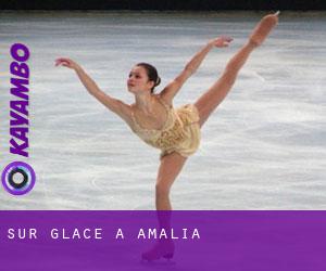 Sur glace à Amalia