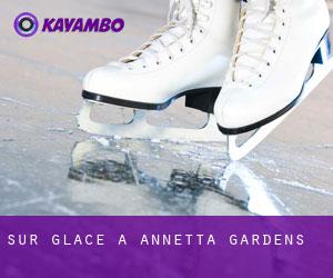 Sur glace à Annetta Gardens