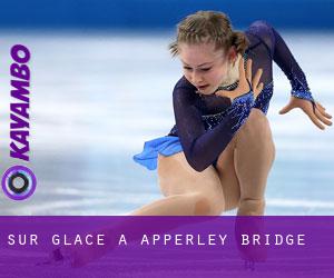 Sur glace à Apperley Bridge