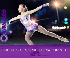 Sur glace à Barcelona Summit