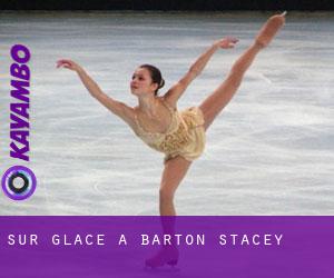 Sur glace à Barton Stacey
