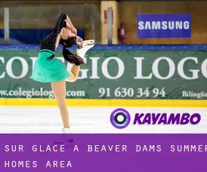Sur glace à Beaver Dams Summer Homes Area