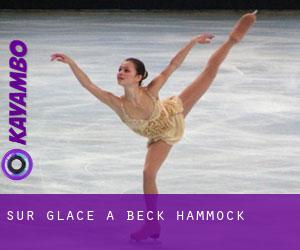 Sur glace à Beck Hammock