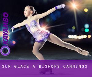 Sur glace à Bishops Cannings