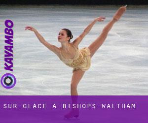 Sur glace à Bishops Waltham