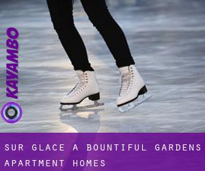 Sur glace à Bountiful Gardens Apartment Homes