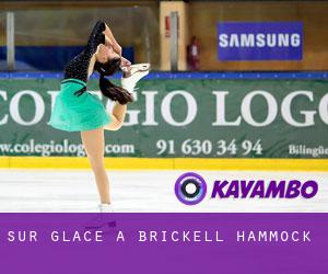 Sur glace à Brickell Hammock