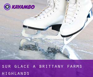 Sur glace à Brittany Farms-Highlands