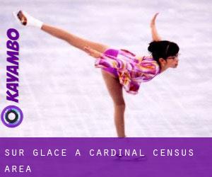Sur glace à Cardinal (census area)