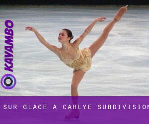 Sur glace à Carlye Subdivision