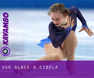 Sur glace à Cibola