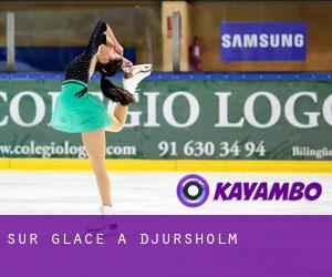 Sur glace à Djursholm