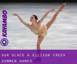 Sur glace à Ellison Creek Summer Homes