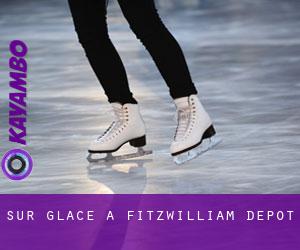 Sur glace à Fitzwilliam Depot