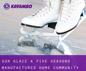 Sur glace à Five Seasons Manufactured Home Community