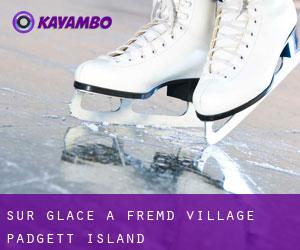 Sur glace à Fremd Village-Padgett Island