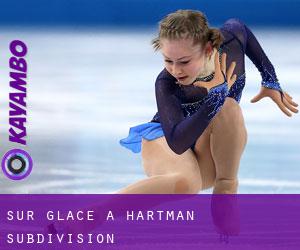 Sur glace à Hartman Subdivision