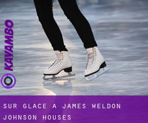 Sur glace à James Weldon Johnson Houses