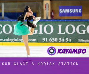 Sur glace à Kodiak Station