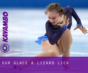 Sur glace à Lizard Lick