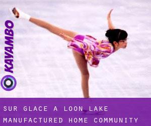Sur glace à Loon Lake Manufactured Home Community