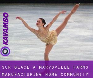 Sur glace à Marysville Farms Manufacturing Home Community