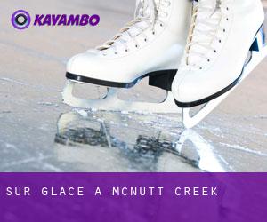 Sur glace à McNutt Creek Sur glace à McNutt Creek