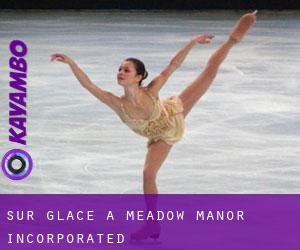 Sur glace à Meadow Manor Incorporated