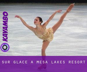 Sur glace à Mesa Lakes Resort