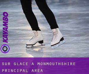 Sur glace à Monmouthshire principal area