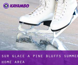 Sur glace à Pine Bluffs Summer Home Area