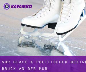Sur glace à Politischer Bezirk Bruck an der Mur