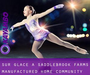 Sur glace à Saddlebrook Farms Manufactured Home Community