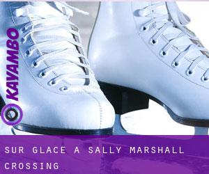 Sur glace à Sally Marshall Crossing