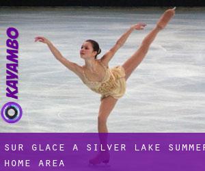 Sur glace à Silver Lake Summer Home Area