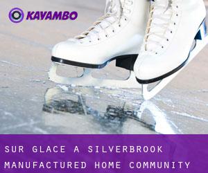 Sur glace à Silverbrook Manufactured Home Community