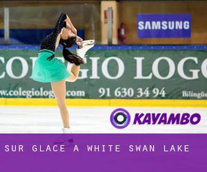 Sur glace à White Swan Lake