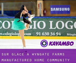 Sur glace à Wyngate Farms Manufactured Home Community