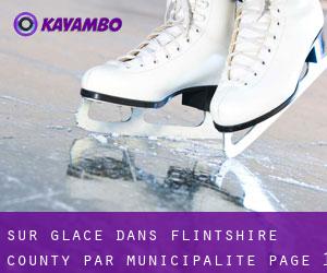 Sur glace dans Flintshire County par municipalité - page 1