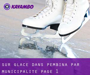 Sur glace dans Pembina par municipalité - page 1