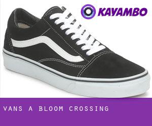 Vans à Bloom Crossing