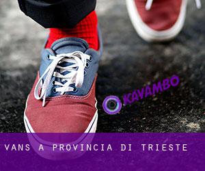 Vans à Provincia di Trieste