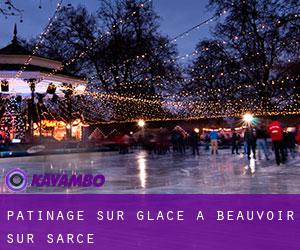 Patinage sur glace à Beauvoir-sur-Sarce